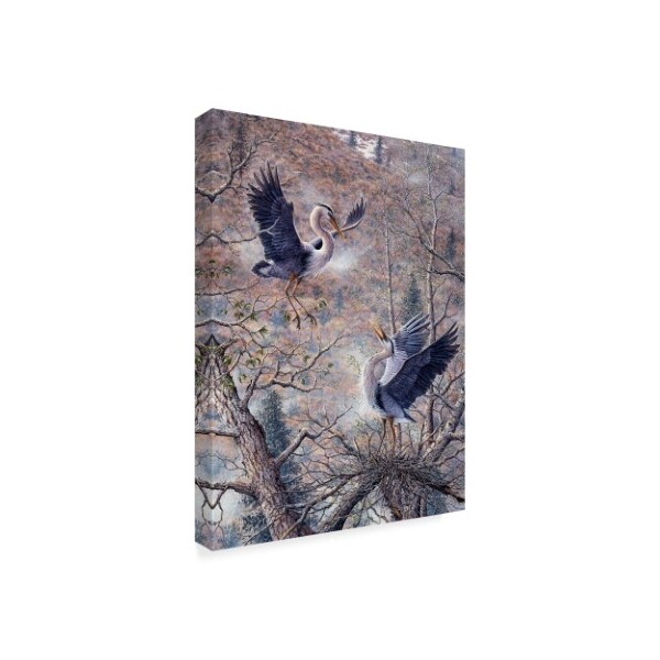 Jeff Tift 'Nesting Time Great Blue Herons' Canvas Art,18x24